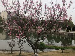 -江南大学(蠡湖校区)