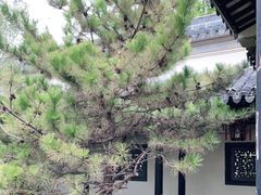 -宛园