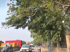 -广州长隆飞鸟乐园