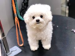 -PETKIT小佩宠物(昭化店)