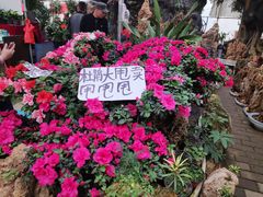 -秦美花卉(天朗·莱茵小城2期店)