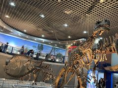 -国家自然博物馆