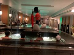 -上海柏悦酒店