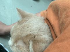 -美联众合动物医院·24h京西诊疗中心