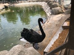 -长春农博园