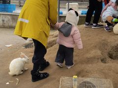 -前小桔亲子创意农场·草莓采摘·露营烧烤