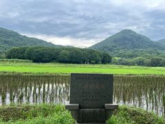 -八卦田遗址公园