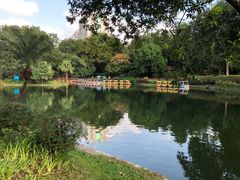 -晓港公园
