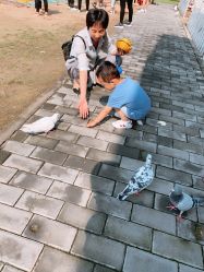 -上美四季动物农场