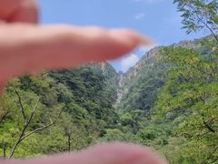 -泰山风景名胜区