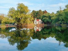 -上海共青森林公园