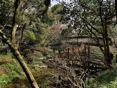 -杭州半山国家森林公园