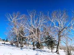 -大秃顶子山(雪谷店)