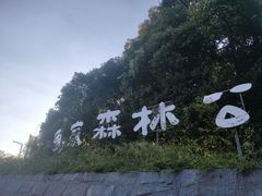 -南京老山国家森林公园