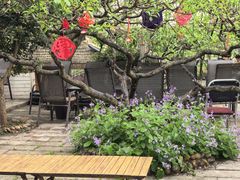 -桃源山庄·摘樱桃·柴火鸡·烧烤团建(龙泉山店)