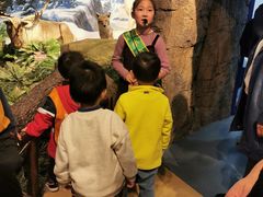 -陕西自然博物馆