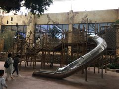 -杭州开元森泊度假乐园