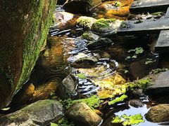 -天门沟九州驿站树上汤泉