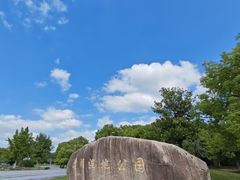 -漕湖湿地公园