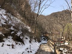 -大岭沟猕猴桃谷风景区