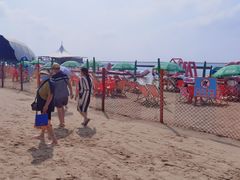 -碧海金沙