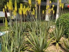 -广州神农草堂中医药博物馆