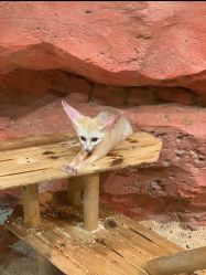 -Zoolung Zoolung动物主题公园(海信广场店)