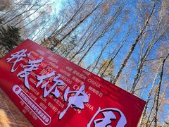 -汤旺河林海奇石景区
