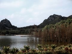 -南宁花花大世界景区