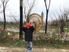 -上海长兴岛郊野公园