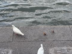 -杭州湖滨银泰in77