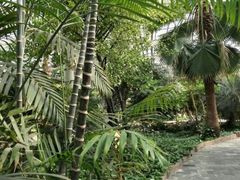 -龙达温泉生态城
