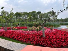 -春花秋色城市公园