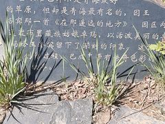 -武清南湖绿博园