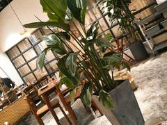 大堂-如禾素食·下午茶·糖水