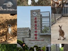 -石家庄市动物园