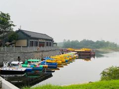 -渡海小渔村.老辈日照菜