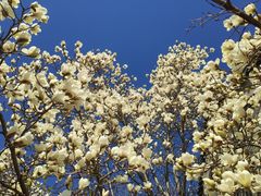 -天津盘山风景名胜区