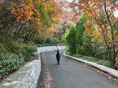 -佛慧山