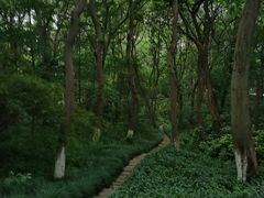 -赭山公园