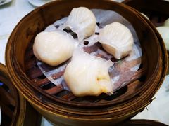 潮福虾饺皇-潮福城大酒楼·潮粤菜·港式点心(阳光城店)