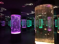 -洛阳龙门海洋馆