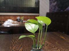 -大洋家·精品潮汕菜·生腌砂锅粥(天河东路店)