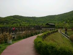 -石塘人家
