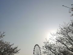 -Dragonfly悠庭·按摩Spa(浦东嘉里城店)
