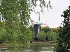 -上海鲜花港