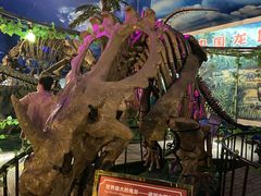 -诸城市恐龙博物馆