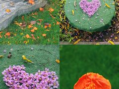 -竹子林(地铁站)