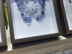 -安徽省地质博物馆