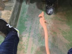 -不贰手作陶艺diy·烧玻璃·银饰团建(人民大学店)